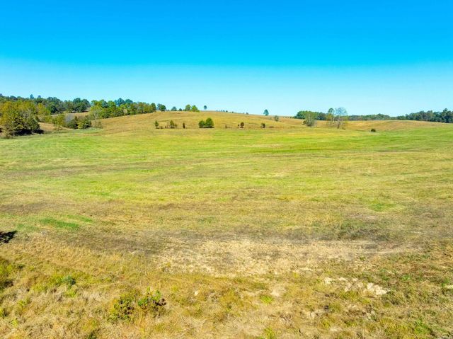 717 Green Valley Ln, Viola, AR 72583