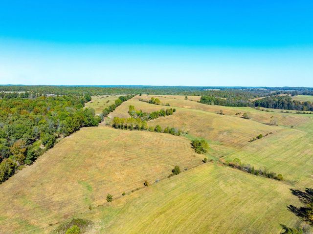 717 Green Valley Ln, Viola, AR 72583