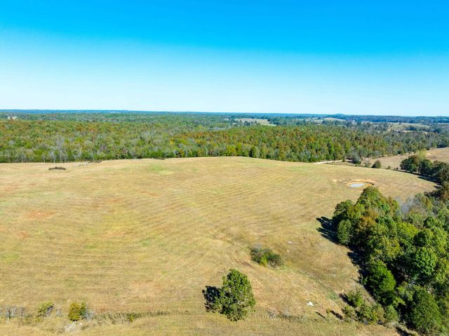 717 Green Valley Ln, Viola, AR 72583