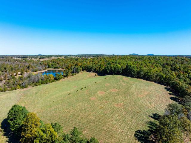 717 Green Valley Ln, Viola, AR 72583