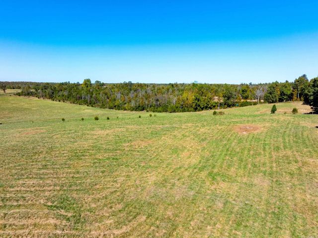 717 Green Valley Ln, Viola, AR 72583