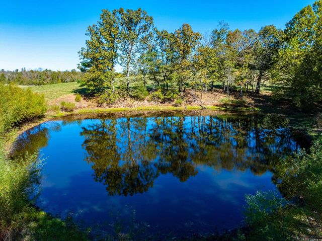 717 Green Valley Ln, Viola, AR 72583