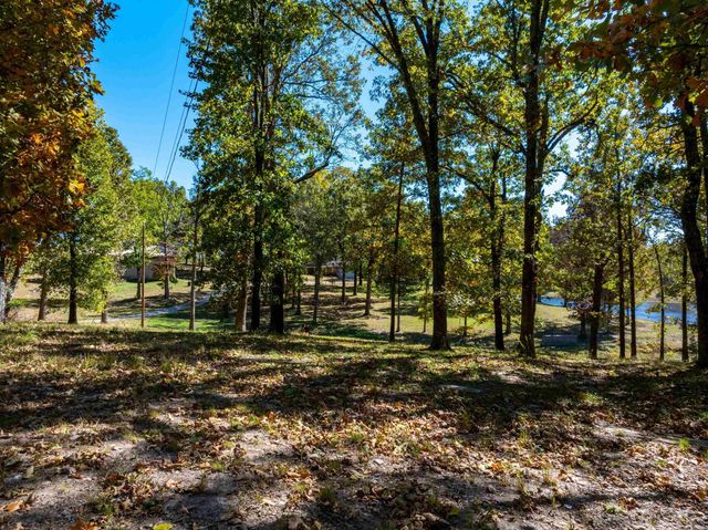 717 Green Valley Ln, Viola, AR 72583