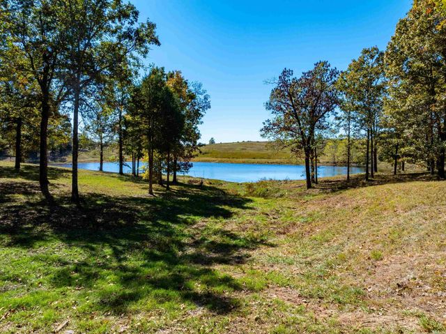 717 Green Valley Ln, Viola, AR 72583