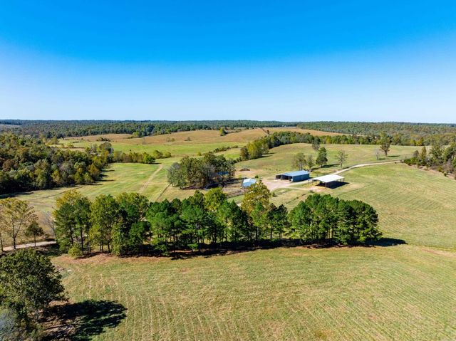 717 Green Valley Ln, Viola, AR 72583