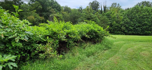 13384 Hardy RD, Hardy, VA 24101