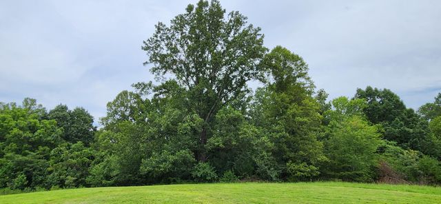 13384 Hardy RD, Hardy, VA 24101