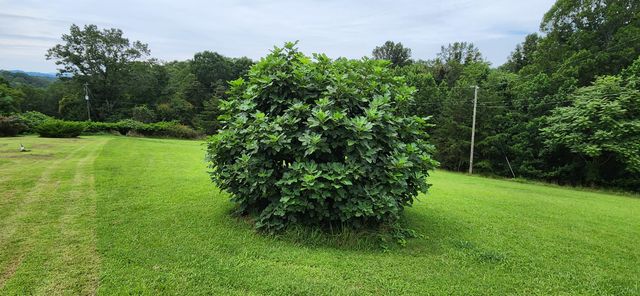 13384 Hardy RD, Hardy, VA 24101