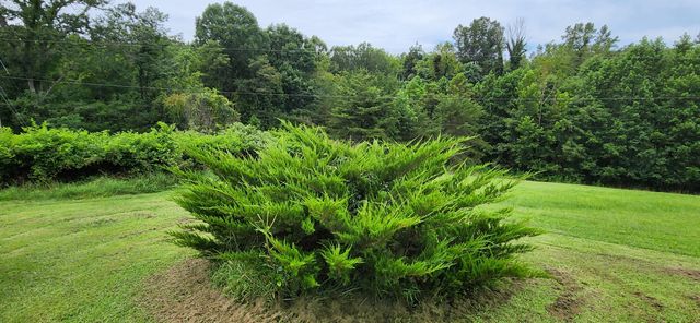 13384 Hardy RD, Hardy, VA 24101