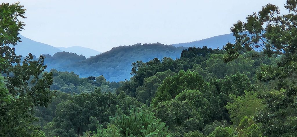 13384 Hardy RD, Hardy, VA 24101