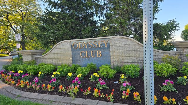 53 Odyssey Drive, Tinley Park, IL 60477