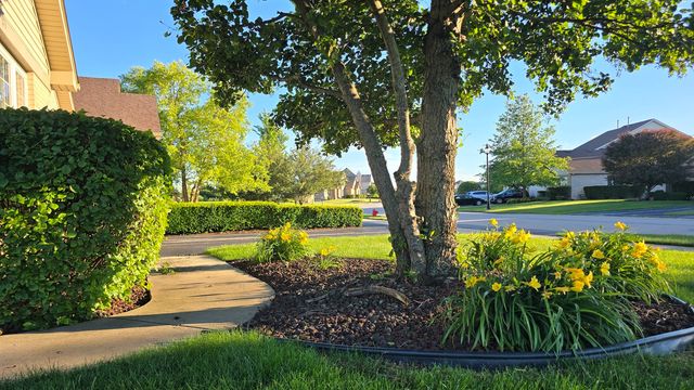 53 Odyssey Drive, Tinley Park, IL 60477