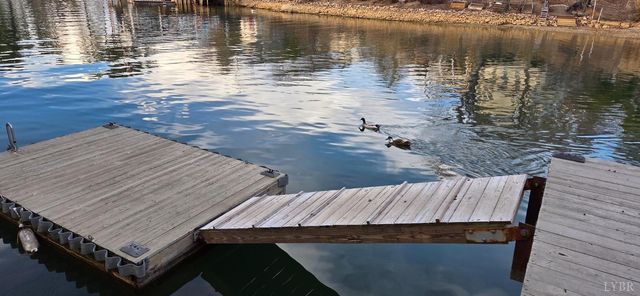 1085 Azalea Drive, Moneta, VA 24121