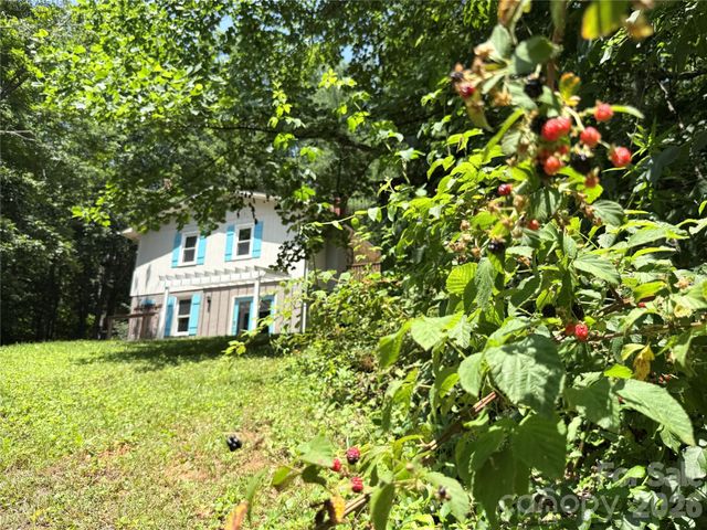 95 Walker Cove Road, Black Mountain, NC 28711