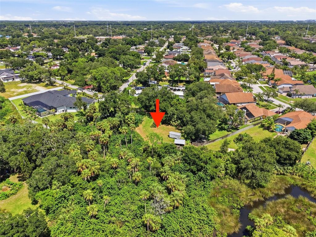 Image 14 of property listing at 6750 E CREEK, Tampa, FL 33615