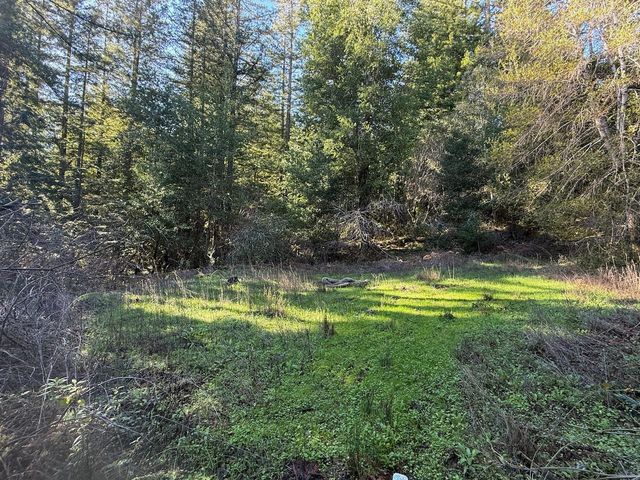 1000 Harmon Gulch Road, Boulder Creek, CA 95006