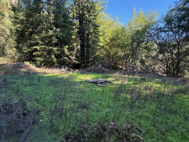 1000 Harmon Gulch Road, Boulder Creek, CA 95006