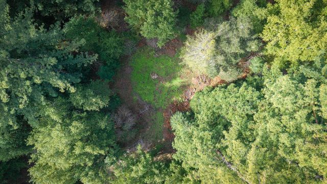 1000 Harmon Gulch Road, Boulder Creek, CA 95006