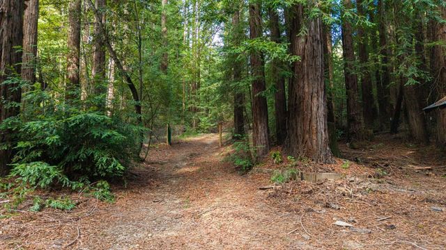 1000 Harmon Gulch Road, Boulder Creek, CA 95006