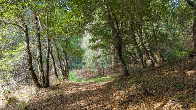 1000 Harmon Gulch Road, Boulder Creek, CA 95006