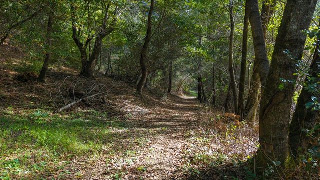 1000 Harmon Gulch Road, Boulder Creek, CA 95006