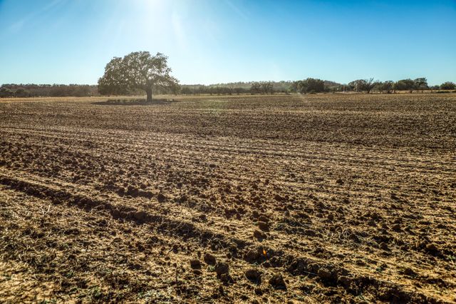 2387 Farm to Market 503, Coleman, TX 76834