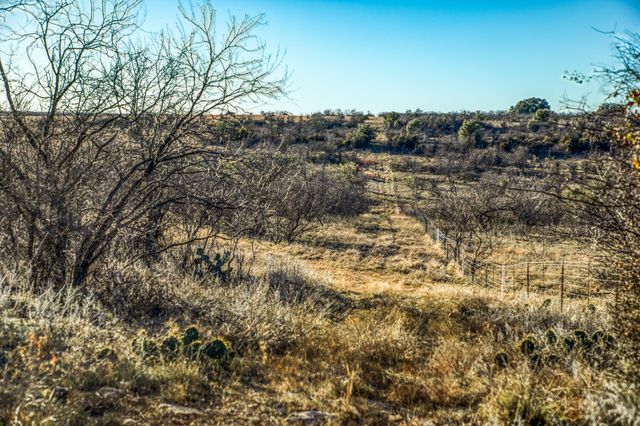 2387 Farm to Market 503, Coleman, TX 76834