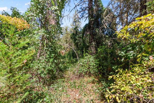 0 Hogan Road, Applegate, OR 97530