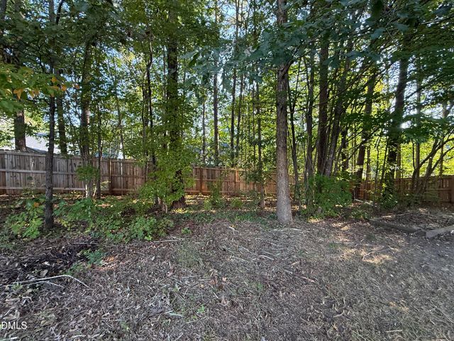 329 Groundsel Place, Clayton, NC 27527