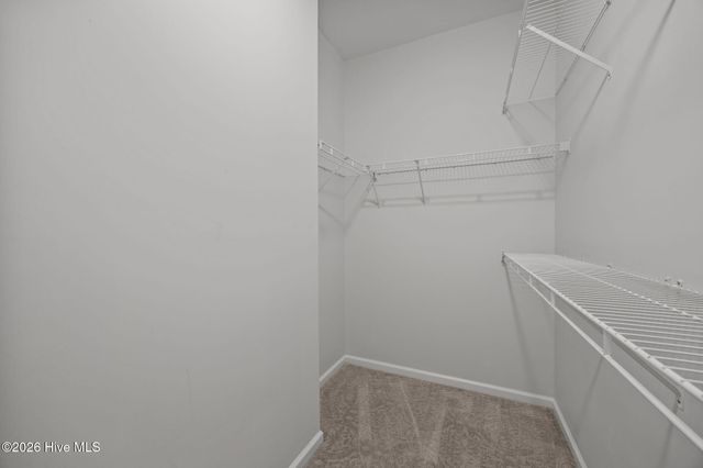 1121 Turtle Creek Road B, Greenville, NC 27858