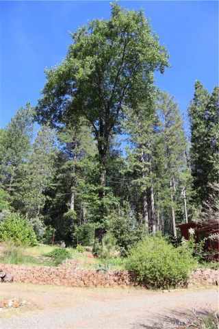 19449 Oroville Forbestown, Oroville, CA 95966