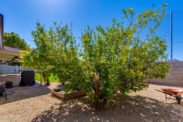 2801 E Mercer Lane, Phoenix, AZ 85028