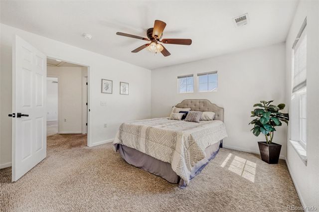 1506 Wild Cat Mountain Road, Castle Rock, CO 80109