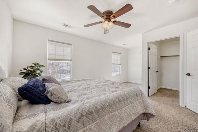 1506 Wild Cat Mountain Road, Castle Rock, CO 80109