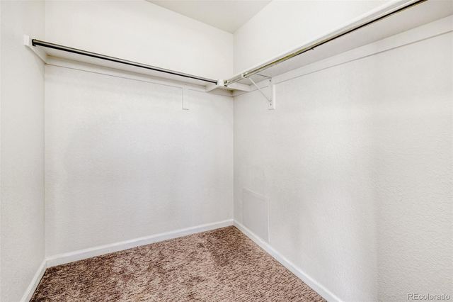 1506 Wild Cat Mountain Road, Castle Rock, CO 80109