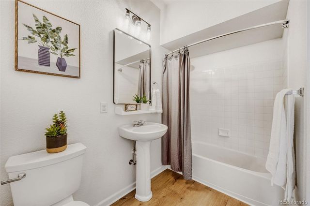 1506 Wild Cat Mountain Road, Castle Rock, CO 80109