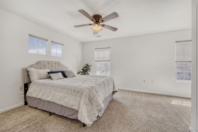 1506 Wild Cat Mountain Road, Castle Rock, CO 80109