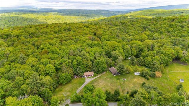 101 Red Star Road, Greenfield Park, NY 12435