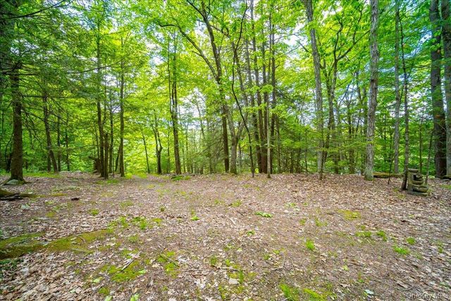 101 Red Star Road, Greenfield Park, NY 12435