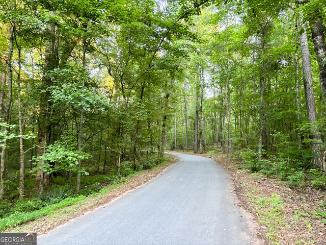 195 Southridge, Senoia, GA 30276