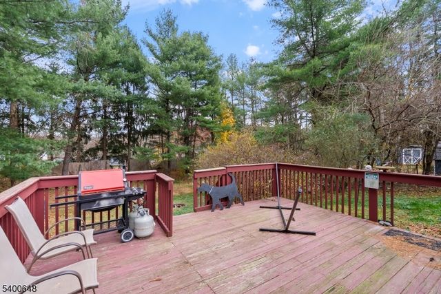 11 Carol Ct, Glen Gardner Boro, NJ 08826