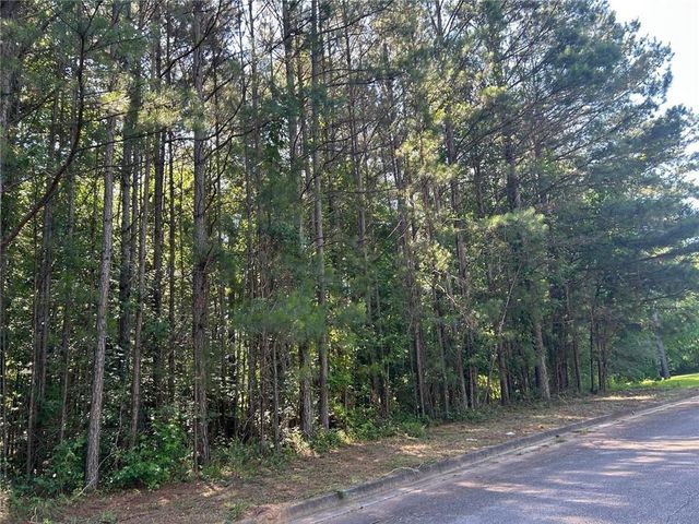 136 Harrison Place, Hampton, GA 30228
