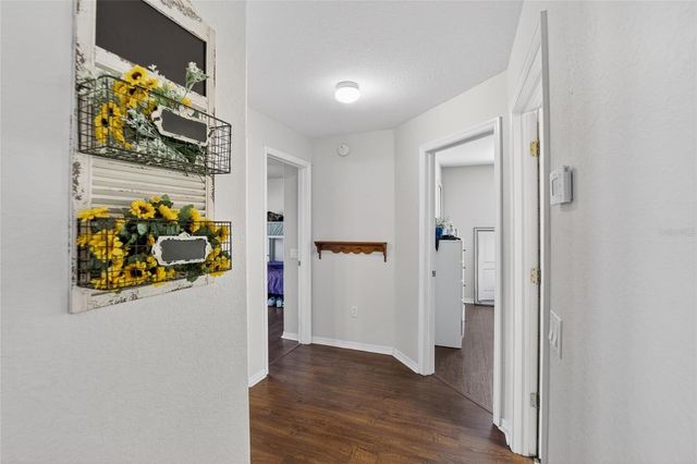 3732 COLD CREEK DRIVE, Valrico, FL 33596