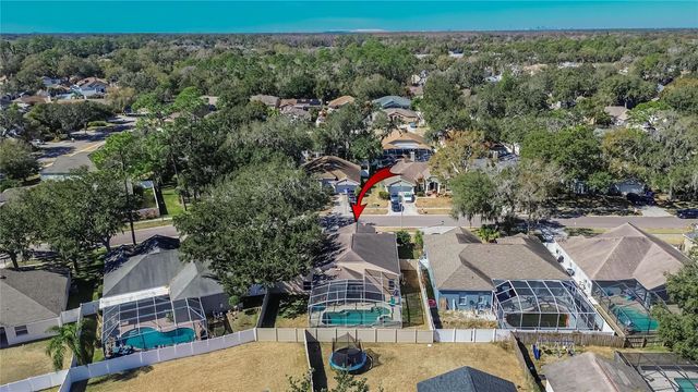 3732 COLD CREEK DRIVE, Valrico, FL 33596