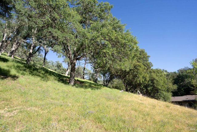 1486 Steele Canyon Rd, Napa, CA 94558