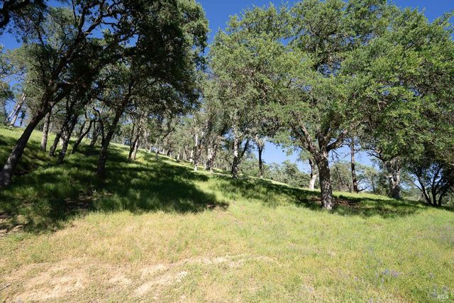 1486 Steele Canyon Rd, Napa, CA 94558