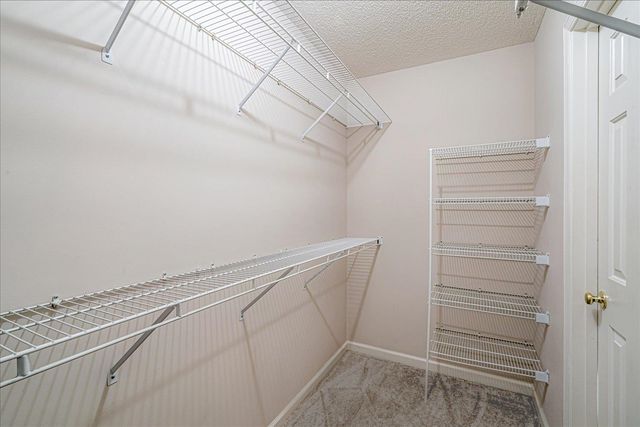 8544 OVERCUP OAKS DR, Cordova, TN 38018