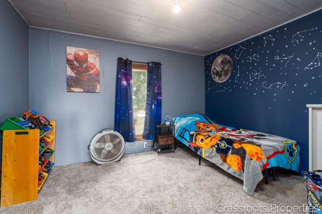 6196 W Sidney Road, Sidney, MI 48885