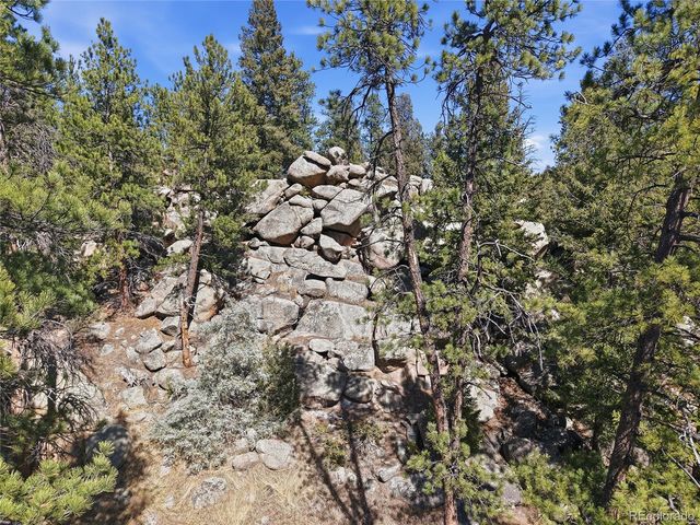 27559 Fireweed Drive, Evergreen, CO 80439