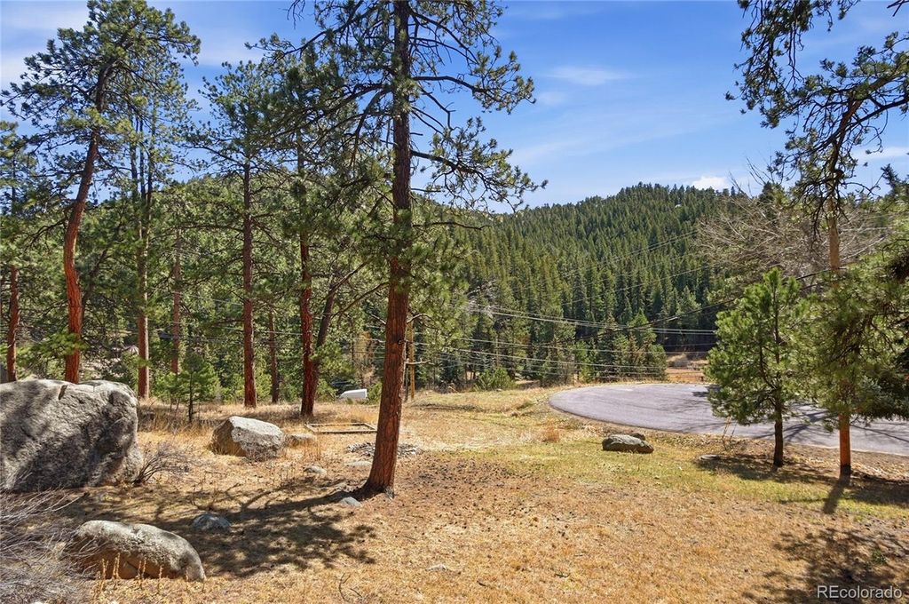 27559 Fireweed Drive, Evergreen, CO 80439